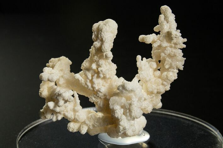 Intricate, Fluorescent Aragonite Formation - Nevada #327498
